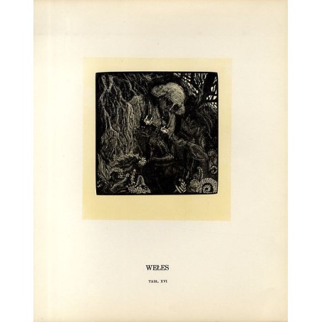 Tabl. 16 Wełes / "TABL. XVI WEŁES"