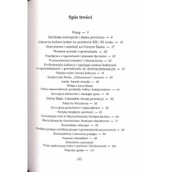 Niepokorna hrabina. Literacka kariera Valeski von Bethusy-Huc