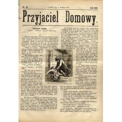 Przyjaciel Domowy. R.21 (1871). Nr 22 (1 grudnia 1871)