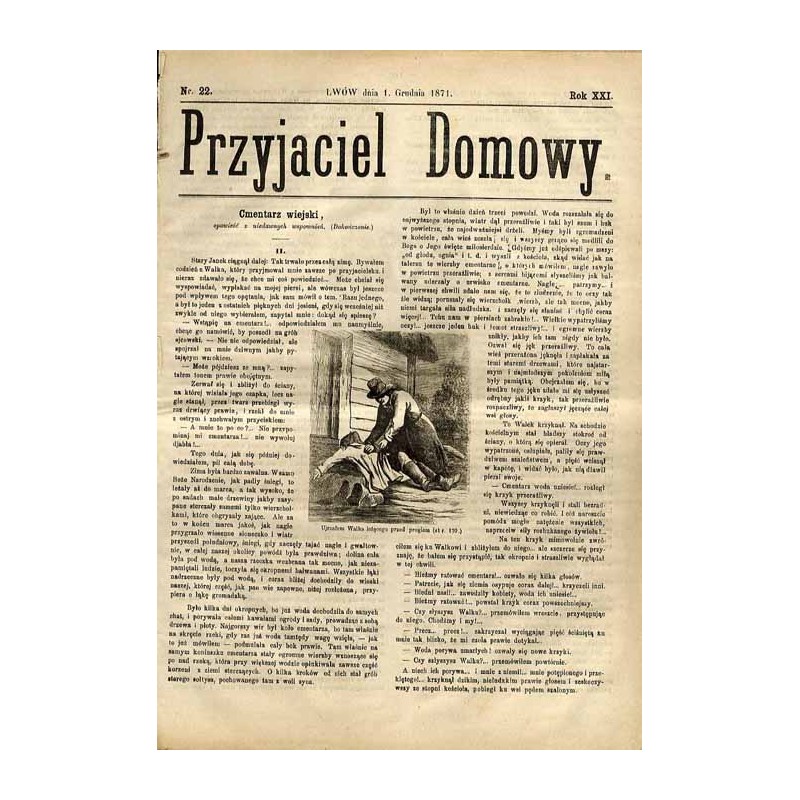 Przyjaciel Domowy. R.21 (1871). Nr 22 (1 grudnia 1871)