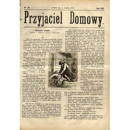 Przyjaciel Domowy. R.21 (1871). Nr 22 (1 grudnia 1871)