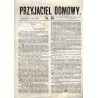 Przyjaciel Domowy. R.14 (1864). Nr 57 (15 lipca 1864)