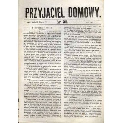 Przyjaciel Domowy. R.14 (1864). Nr 56 (12 lipca 1864)
