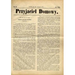 Przyjaciel Domowy. R.22 (1872). Nr 21 (25 listopada 1872) [Hnatowe Berdo - Połonina Wetlińska]