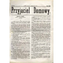 Przyjaciel Domowy. R.21 (1871). Nr 12 (15 października 1871)