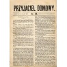 Przyjaciel Domowy. R.14 (1864). Nr 51 (24 czerwca 1864)