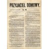 Przyjaciel Domowy. R.14 (1864). Nr 49 (17 czerwca 1864)