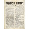 Przyjaciel Domowy. R.14 (1864). Nr 32 (19 kwietnia 1864)