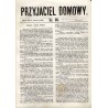 Przyjaciel Domowy. R.14 (1864). Nr 46 (7 czerwca 1864)