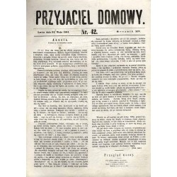 Przyjaciel Domowy. R.14 (1864). Nr 42 (24 maja 1864)