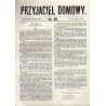 Przyjaciel Domowy. R.14 (1864). Nr 42 (24 maja 1864)