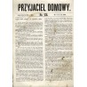 Przyjaciel Domowy. R.14 (1864). Nr 22 (15 marca 1864)