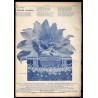 7 Dni. Tygodniowe pismo ilustrowane. R. 2 (1930). Nr 25 (74) (22 czerwca 1930) / okładkowy fotomontaż "Rozpoczynamy konkurs [...