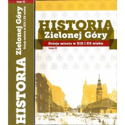 Historia Zielonej Góry. T. 2: Dzieje miasta w XIX i XX wieku