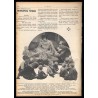 7 Dni. Tygodniowe pismo ilustrowane. R. 2 (1930). Nr 13 (62) (30 marca 1930) / fotomontaże Jerzego Radlicza