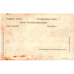S. Brzozowski. [ornament motyw kwiatowy]