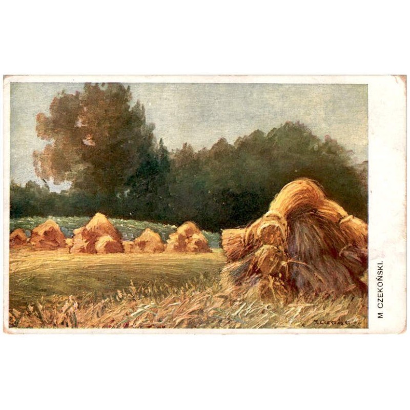M. Czekoński. [Snopy zboża]