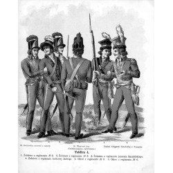"Tablica 4. 1. Żołnierz z regimentu № 6. 2. Żołnierz z regimentu № 3. 3. Żołnierz z regimentu jenerała Raczyńskiego. 4. Żołnierz