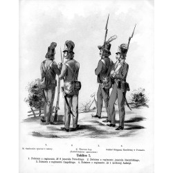 "Tablica 7. 1. Żołnierz z regimentu № 8 jenerała Potockiego. 2. Żołnierz z regimentu jenerała Raczyńskiego. 3. Żołnierz z regime