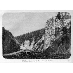 "Widok Ojcowa. (Z albumu widoków T. Chodźki.) (124)"