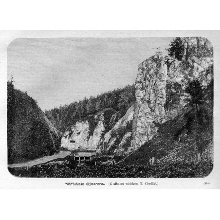 "Widok Ojcowa. (Z albumu widoków T. Chodźki.) (124)"
