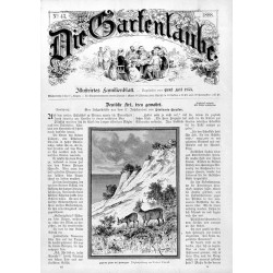 "Aus der Düne bei Polangen. Originalzeichnung von Robert Aßmus."