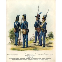 "Tablica 7. 1. Żołnierz z regimentu № 8 jenerała Potockiego. 2. Żołnierz z regimentu jenerała Raczyńskiego. 3. Żołnierz z regime