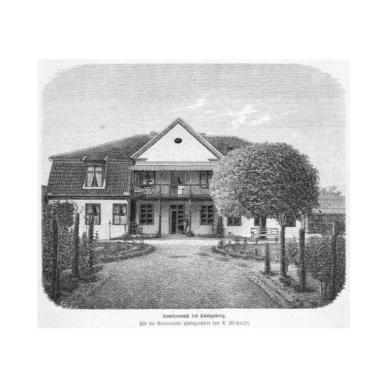 "Louisenwahl bei Königsberg. Für die Gartenlaube photographirt von A. Michalski."