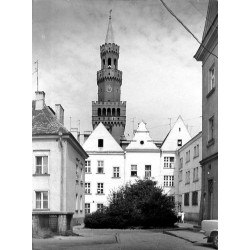 Ratusz na Rynku w Opolu oraz podwórka rynkowych kamienic