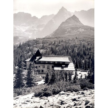 "Na Hali Gąsienicowej" (Tatry)"