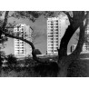 Będzin. Osiedle bloków