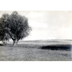 "Mazury Okol. Jez. Dejgun"