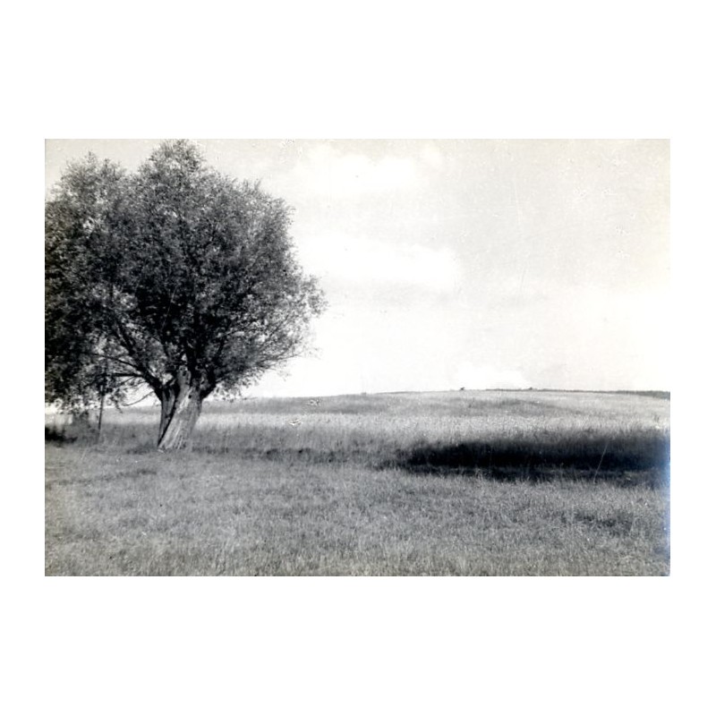 "Mazury Okol. Jez. Dejgun"