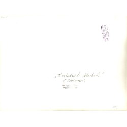 ""W ostatnich blaskach" (Pobierowo)"