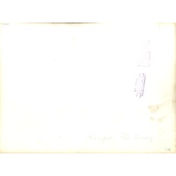 "Leningrad - Pałac Zimowy"