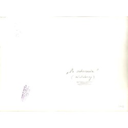 ""Po sztormie" (Kołobrzeg)"