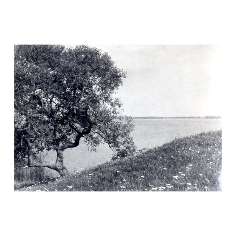 "Mazury Jez Śniardwy"