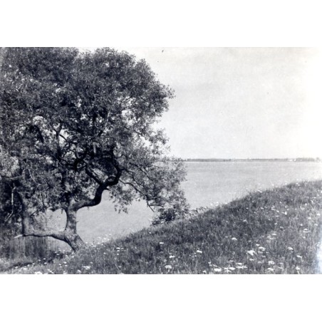 "Mazury Jez Śniardwy"