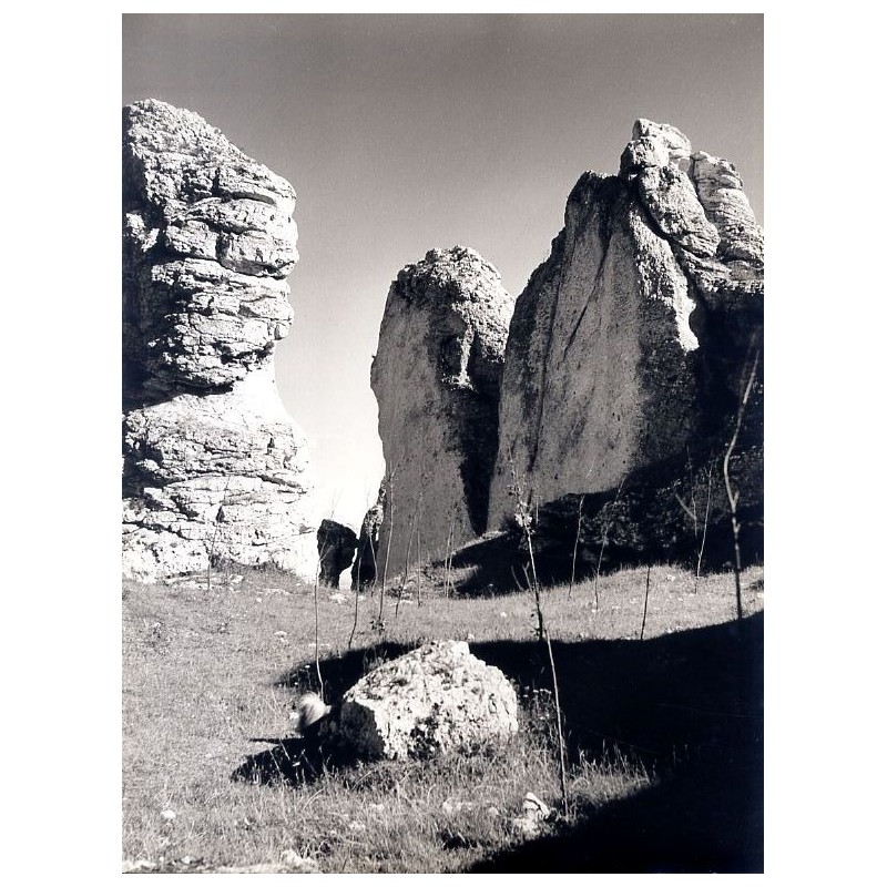 ""Ostańce" (Jura Krakowsko-Częstochowska)"