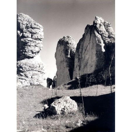 ""Ostańce" (Jura Krakowsko-Częstochowska)"