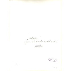 ""Ostańce" (Jura Krakowsko-Częstochowska)"