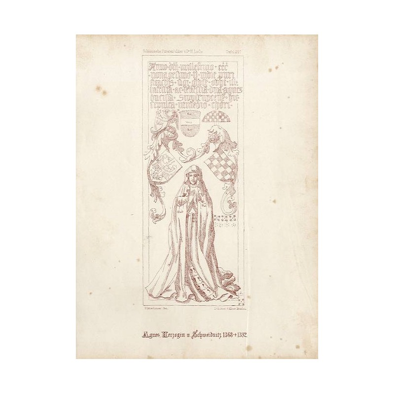 "Agnes, Herzogin v. Schweidnitz 1368-†1392."