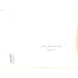 "Lasy Kozienickie"