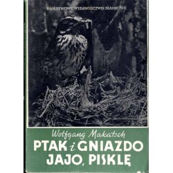 Ptak i gniazdo, jajo, pisklę