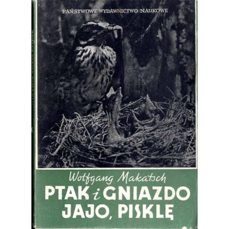 Ptak i gniazdo, jajo, pisklę