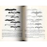 Ptaki (Aves)
