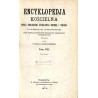 Encyklopedja kościelna. Podług teologicznej encyklopedji Wetzera i Weltego, z licznemi jej dopełnieniami. T. 8: Ibas-Jezuaci