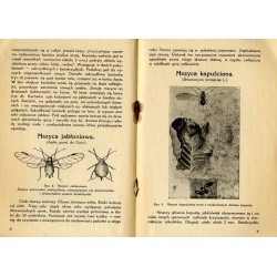 Mszyce / firma "Terebenthen"