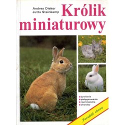 Królik miniaturowy