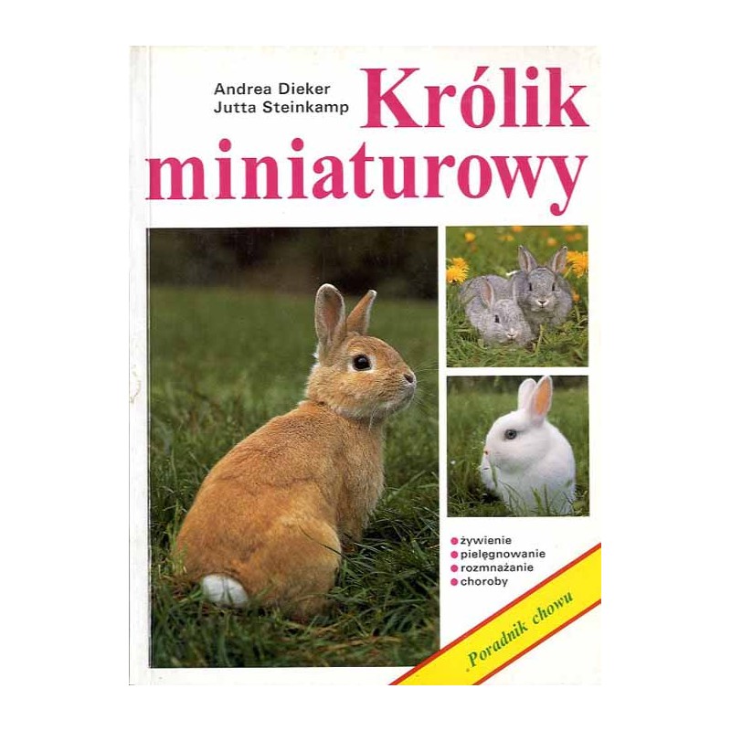 Królik miniaturowy